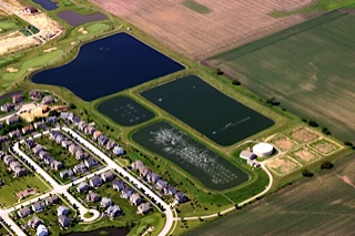 Ammonia Removal from Wastewater Lagoons