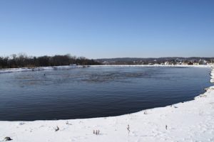 Lagoon Ammonia Removal