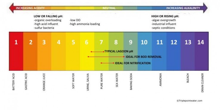 Seven Signs Of An Overloaded Lagoon