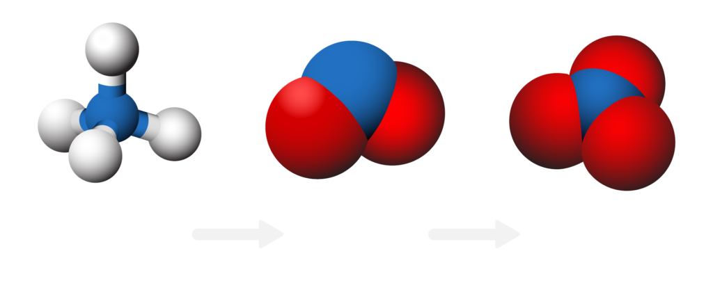Ammonia molecules