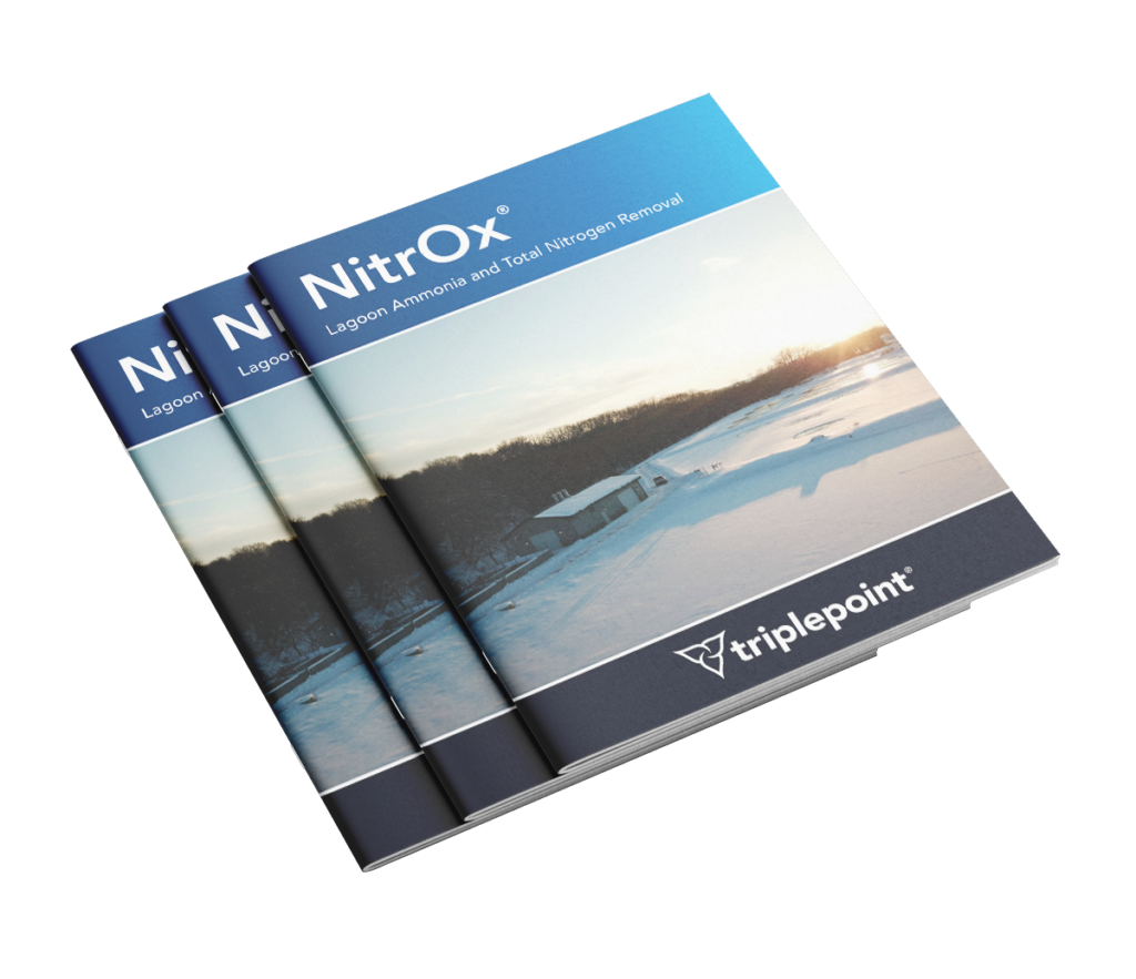 Nitrox 2026 Mockup