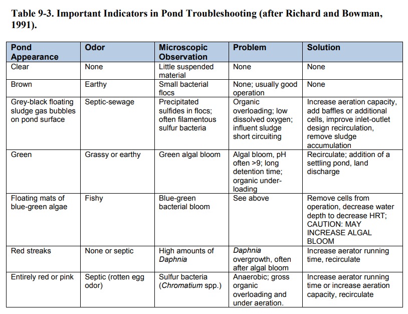 What causes an overloaded wastewater system?