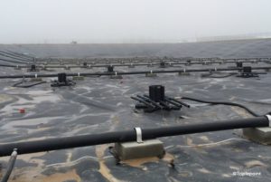 fruit processing wastewater